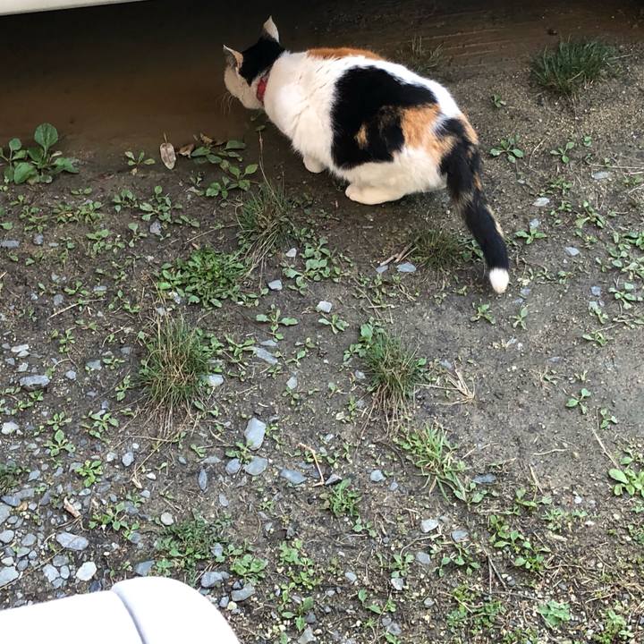 D2242388 8c37 40fd 9e88 c68ce547dac3 1616451049873