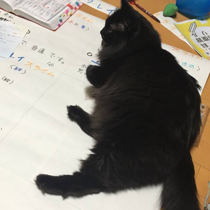 D224ca8a 2eaf 462e aae7 0745fe393f5a 1547554801413