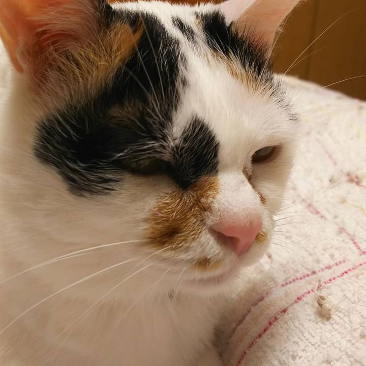 D224db14 48d2 4422 a260 6b53c44ea325 1558276081576