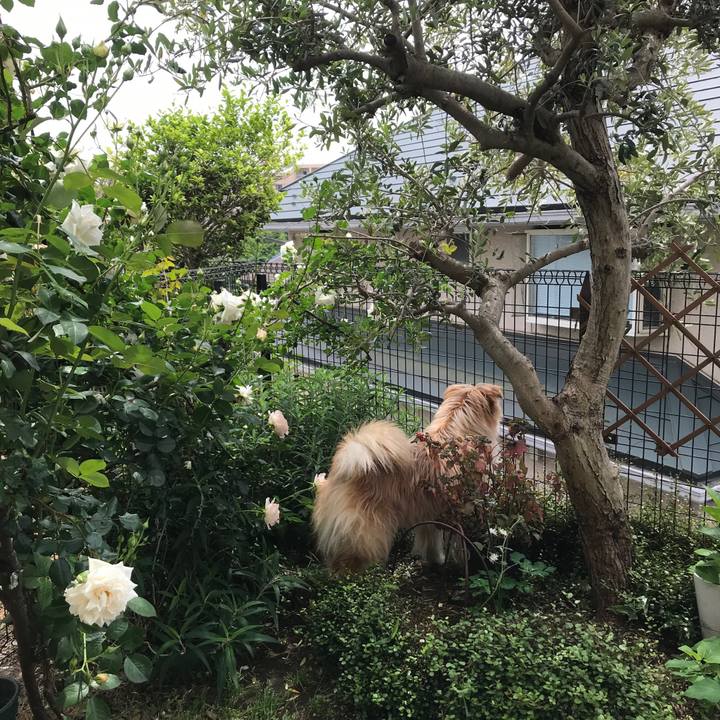 D22508c2 4d42 4e96 805a c582b348f17c 1589248451850