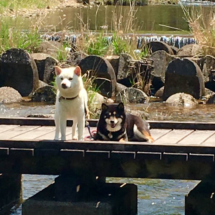 D22511e7 0801 4179 ac41 d1762a65d773 1556868954172