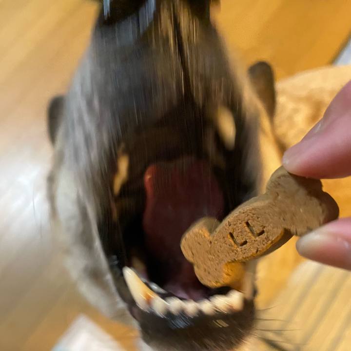 D225186d 3722 4345 946c 8e1b9fcaed53 1717588935975