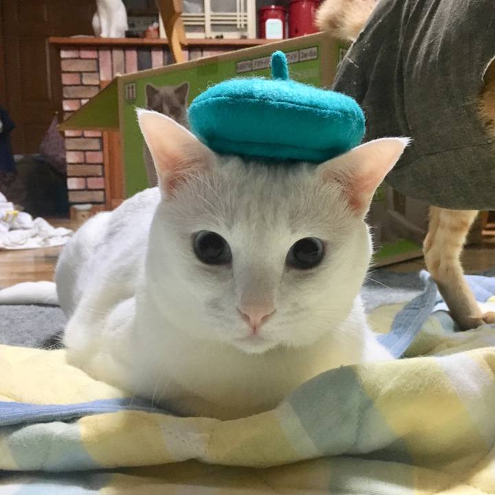 D225241a 8eba 458a 9b59 2cb266cce4ae 1534422758931