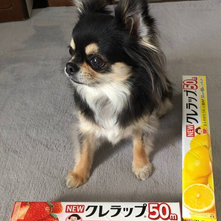 D2256ec8 4762 4a55 8020 540f6add881f 1585049144062