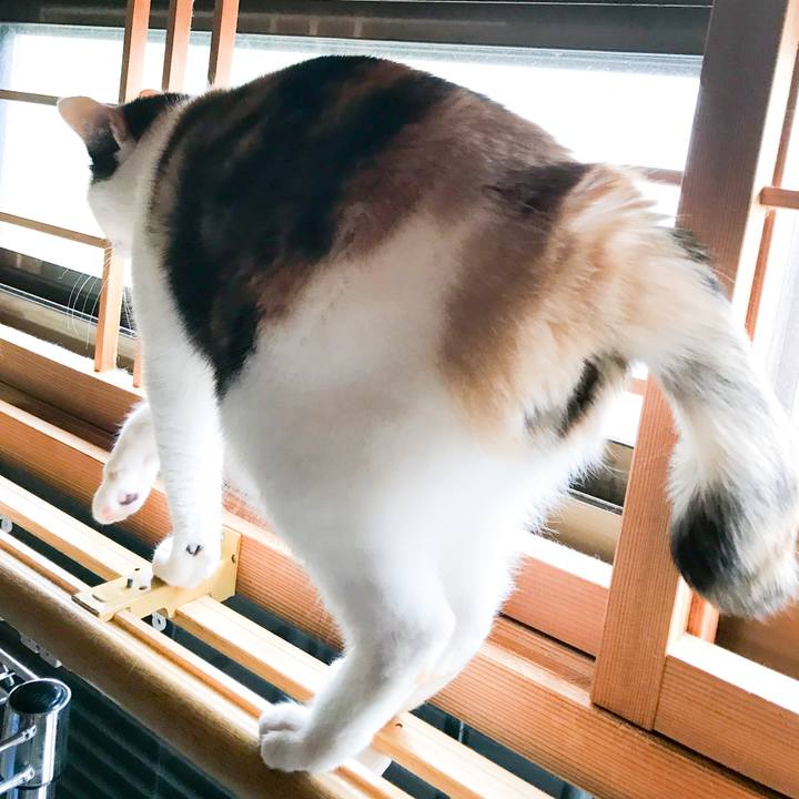 D225b51a e137 4fa6 950c fe0ad156c86a 1522075979153