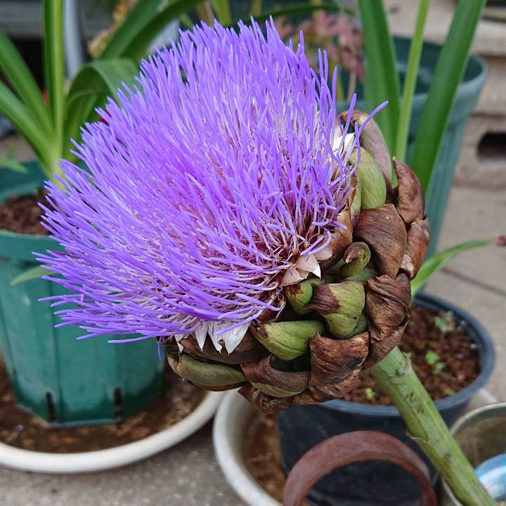 D225c84d da65 4be2 88f6 3cb23ed403c5 1624785277437