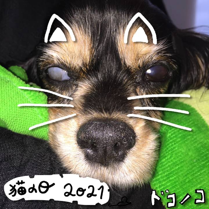 D225d465 75c2 47a9 bb81 c80f08aefefe 1613972907584