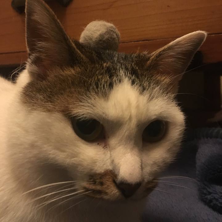 D225d553 8623 493e 8964 6f79c88a272c 1521094544689