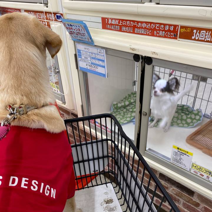 D225d8f7 7fb6 415e 8839 3b5bff0c9486 1618390539256