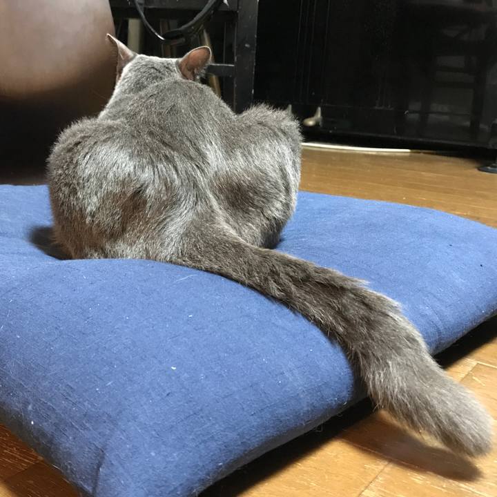 D2264d23 1887 4eeb 8534 d23c2ca7e1b4 1507629572540