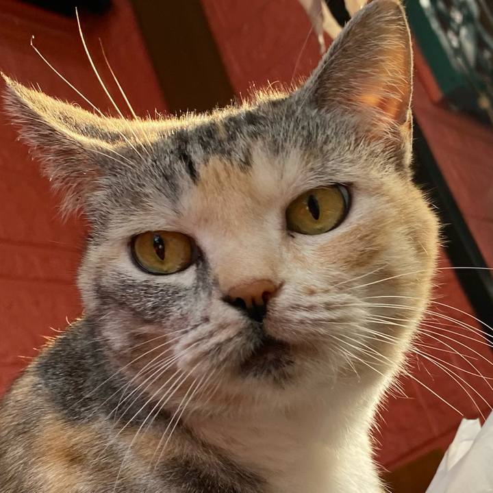 D22650a1 6dc7 44a8 a949 a0aa98785cfe 1623081356570