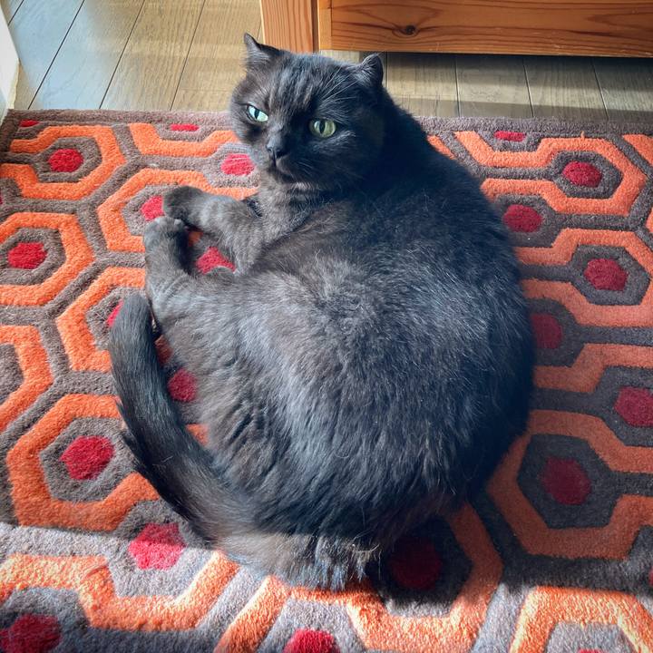 D226611b 9a5b 44e4 90ae c826fe53400b 1597402837953