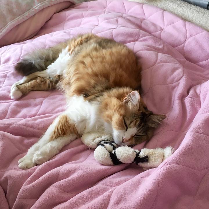 D22665ce 5a58 4f36 a0a2 98379d0cbc2c 1626686946618