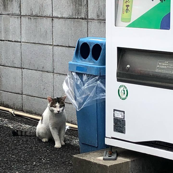 D226660f 101e 479a bb89 091863e776c8 1568468145711