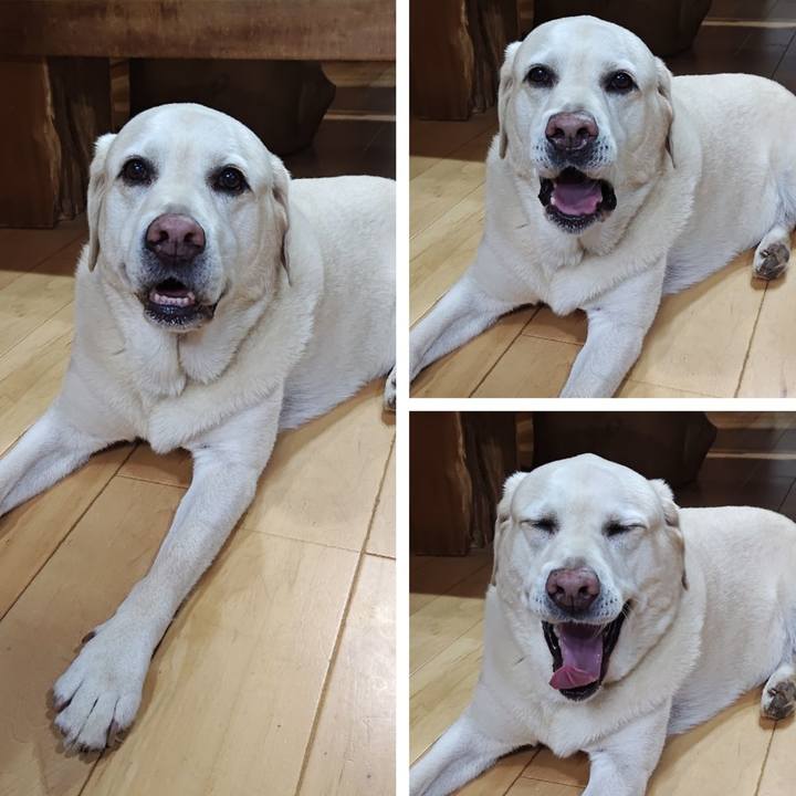 D226aa31 88a4 44a1 9de5 6ec62b57303c 1727188777105