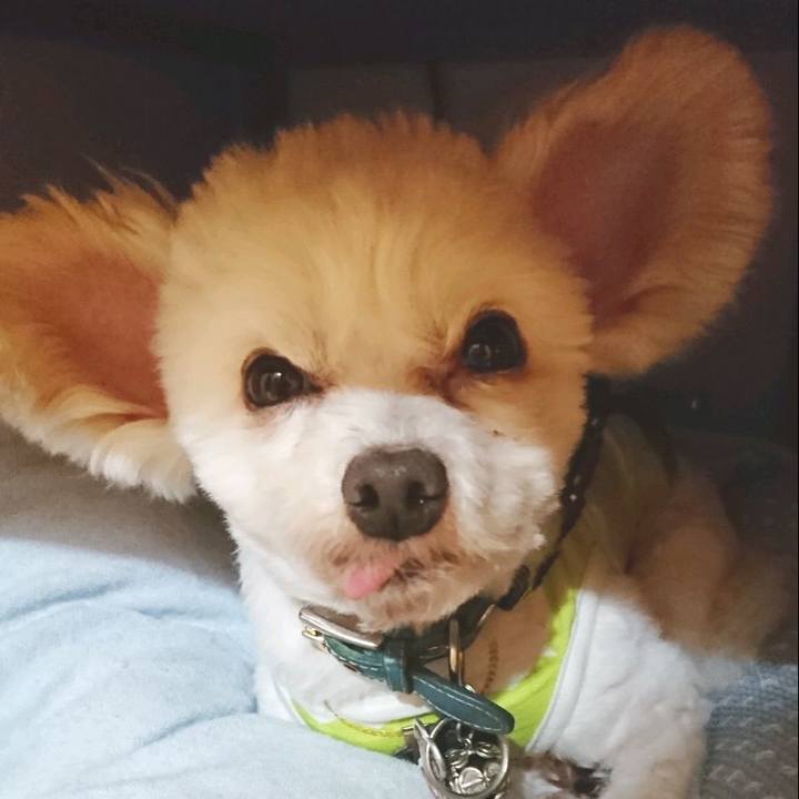 D226bb5a 1e6a 4650 8db2 c30260b3c588 1523161967194