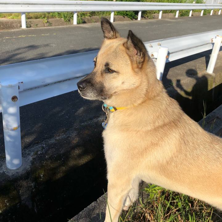 D226c318 dd89 4206 bf5d 2bb4fd239244 1568893828927