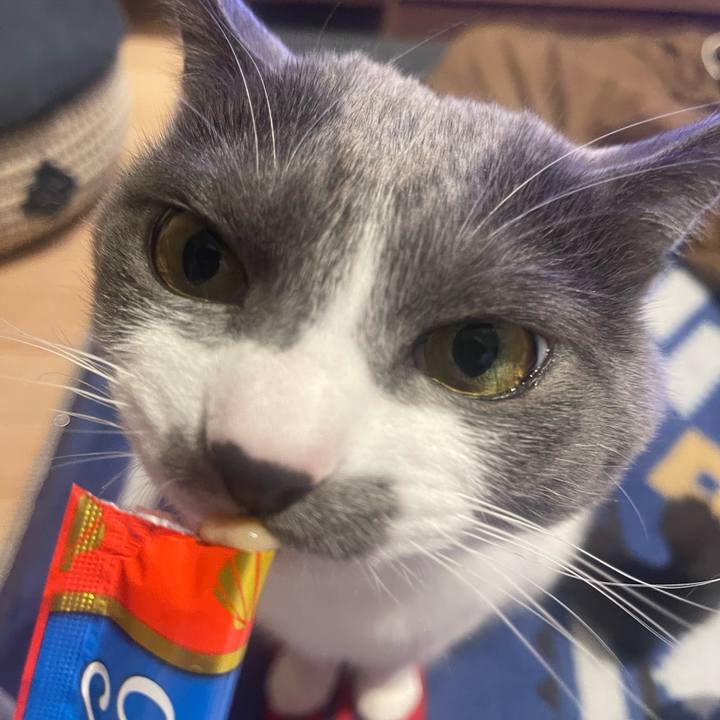 D226d27e 334e 4c8c 87af 8b002b524c70 1674030000132