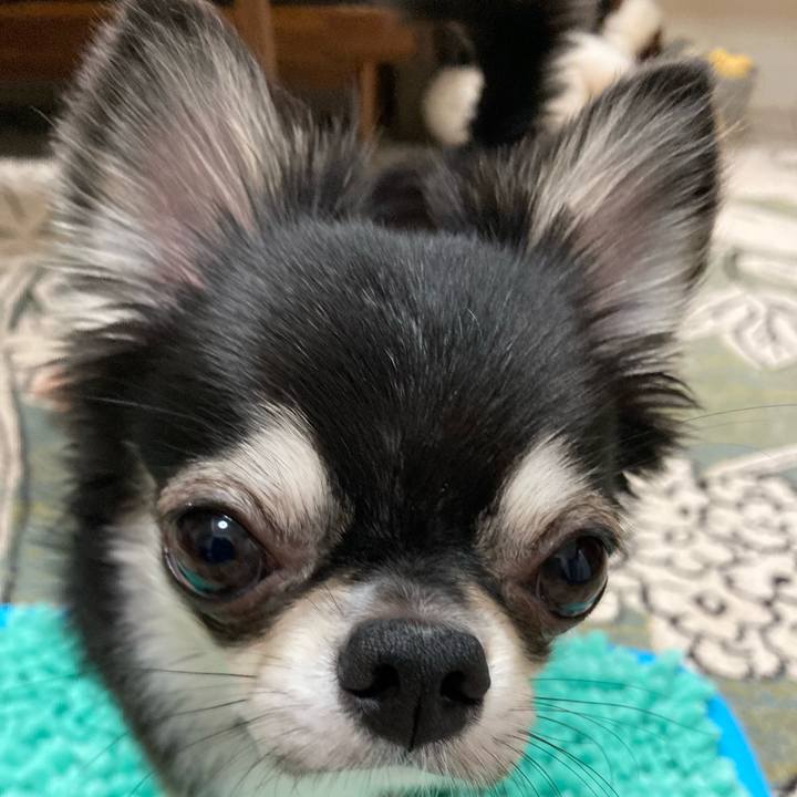 D2270a2f f2ba 42c7 8673 0a3d2dc66eb2 1627219046623