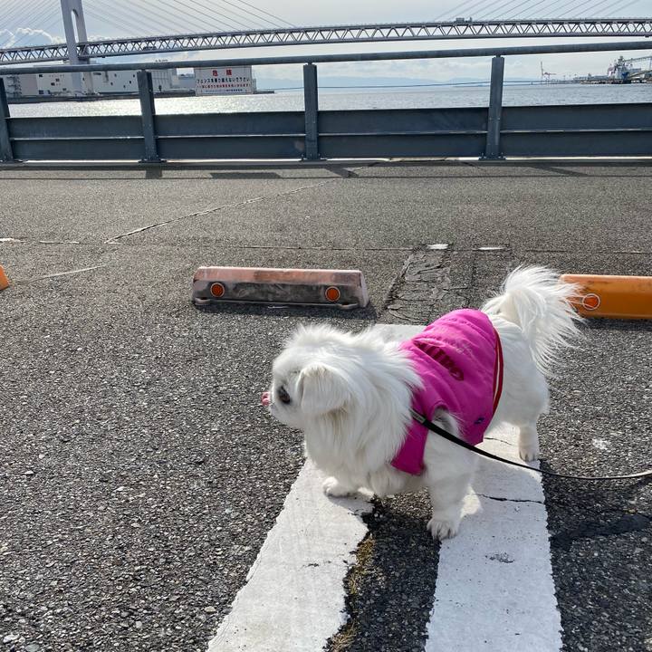 D2272203 bac5 4a05 9ade 5c589de54f62 1643515189833