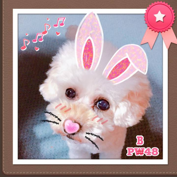 D22739bd 71fe 4d5e 93d4 d2cde252898c 1507718055823