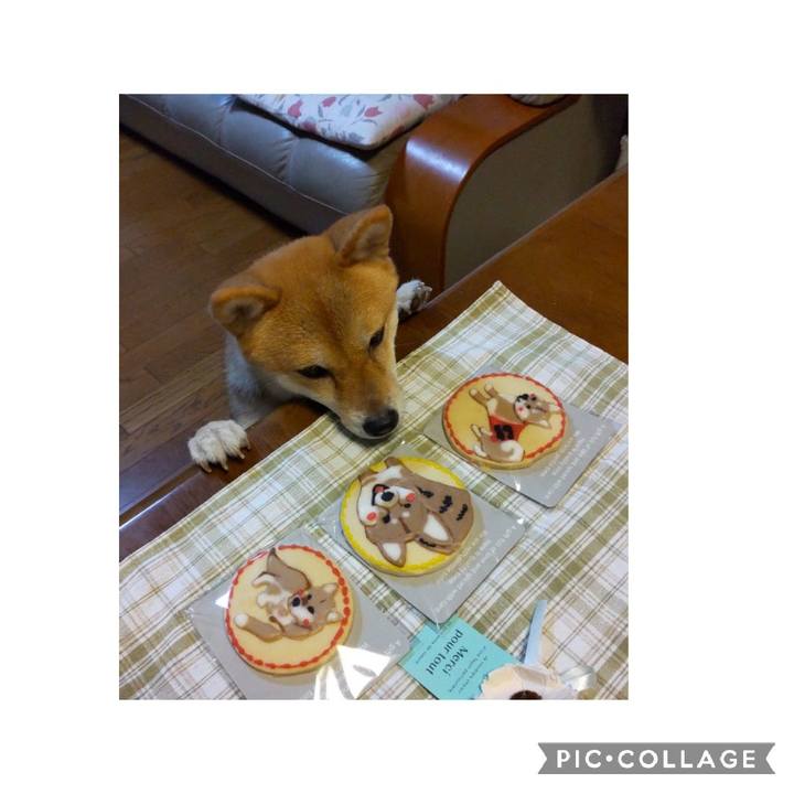 D227459b ee7f 46b5 9463 d9389bd7ec83 1663332395271