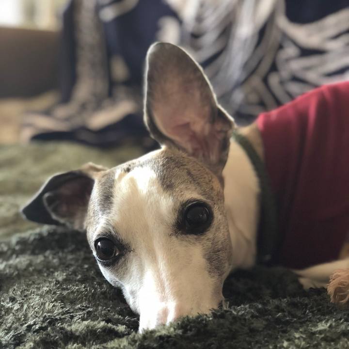 D2275080 cc5d 4c01 9cd3 158128195564 1510477840328