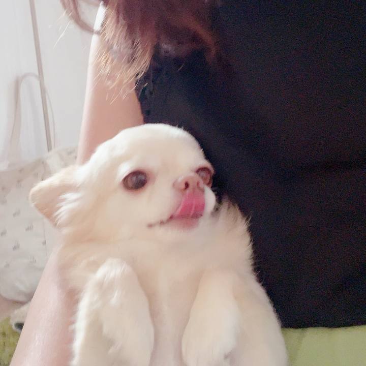 D227661f 44d2 472d b5b1 d96529a2cbc1 1692693762885