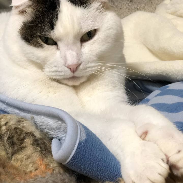 D2276e90 b4f6 4780 919d 4d9404bdfd72 1582972247620