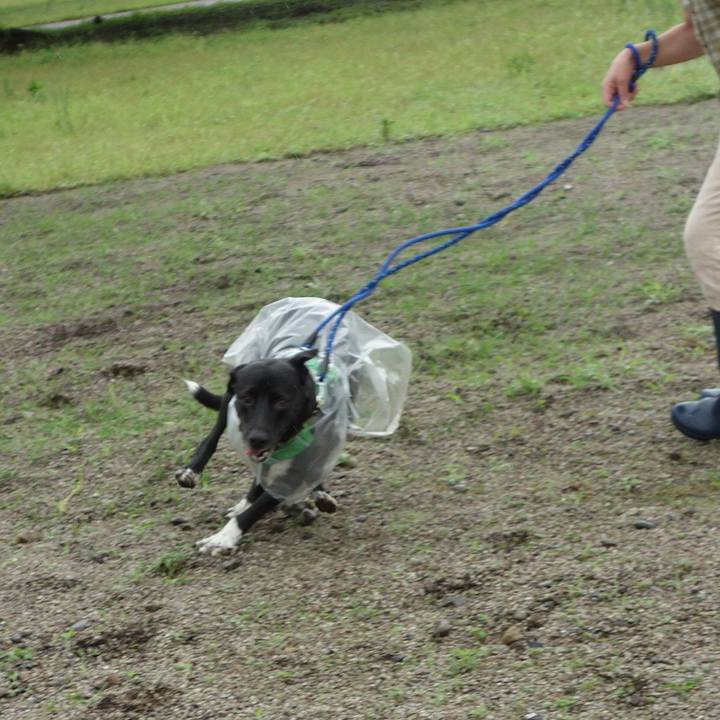 D2278148 407b 4c4f b03a 35cd79063b52 1593820713962