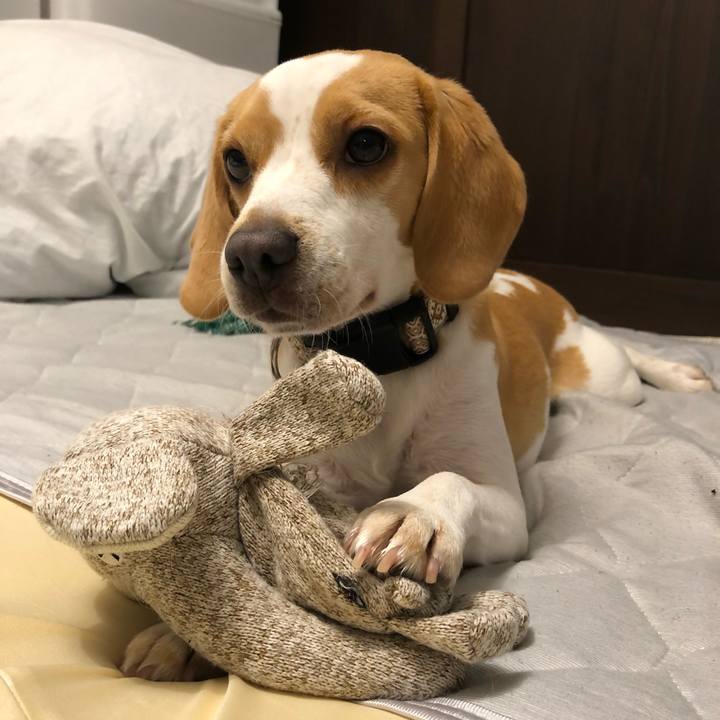 D227a79d 1ab7 481c aa77 f3300f41a306 1600519788953