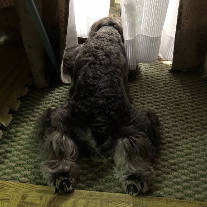 D227b9d2 91a0 4e3d 8886 0d57ce2dbc26 1532253965307