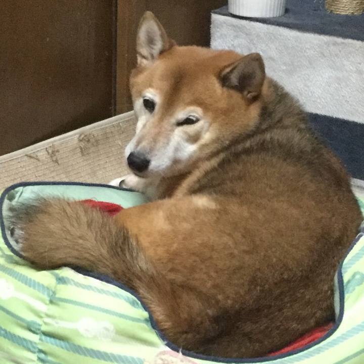 D227d358 aca5 475f b967 5b2cc0cbcc81 1602316050438