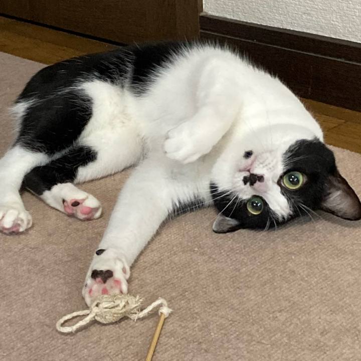 D227e2ae 0d2f 4c03 9b39 0c289389cdc8 1633407358370