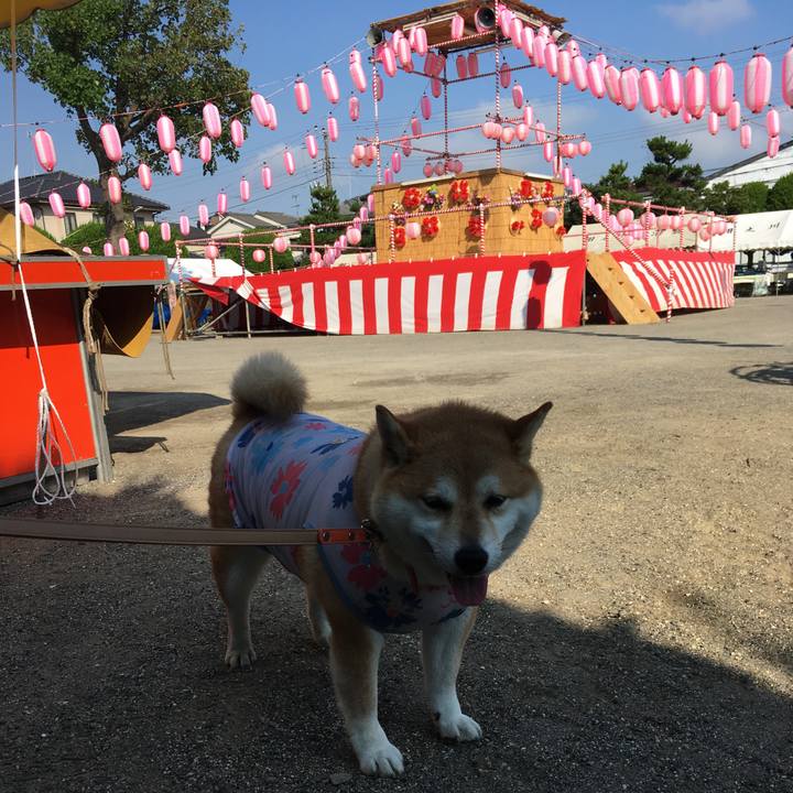 D227fcd7 82e2 46ec a3af c3e77c9b159c 1564878262461