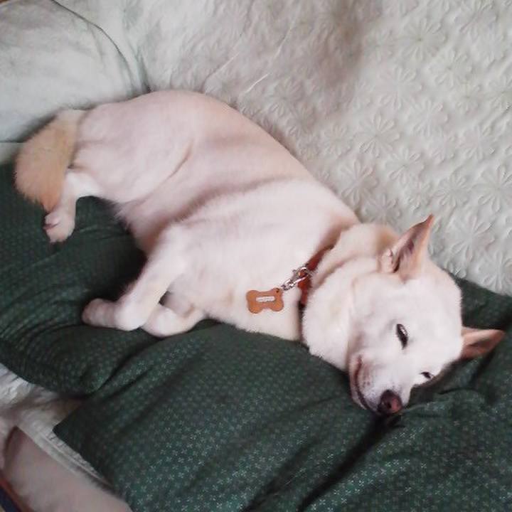 D2281855 4b5f 45fb aca4 10794ed8118b 1558264687740