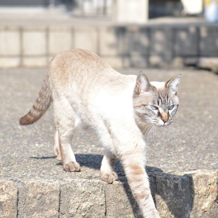 D2285f37 96e5 4152 b69f 46a8033bb429 1518067568114