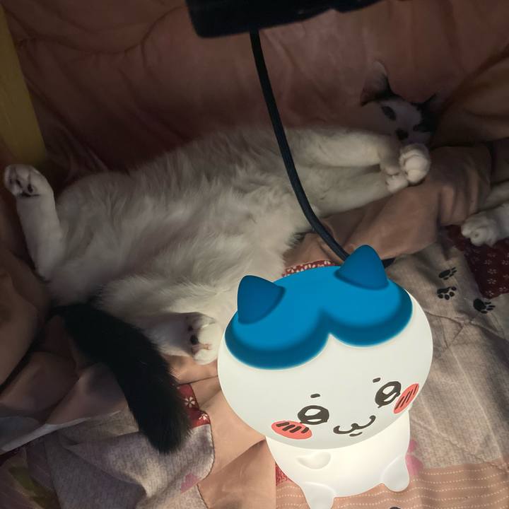 D22862ab 00f4 4f77 84e6 543f01d28871 1768126759066