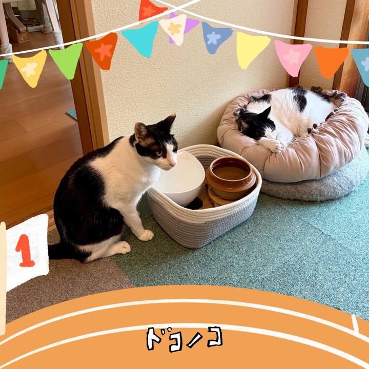 D2288f2e 393e 4184 b248 a8cc549ba18c 1762013915655