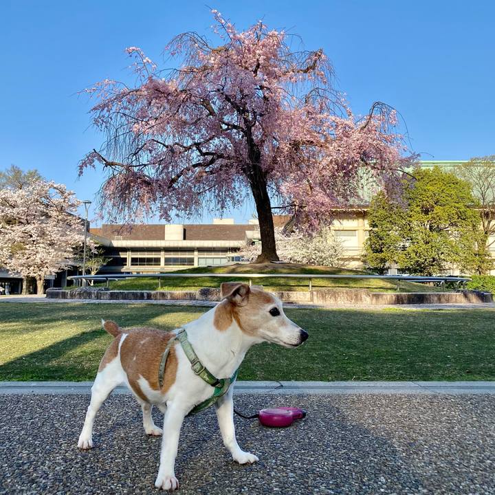 D2290fc8 fb58 4b27 bc6b d29deffcd84c 1680164199414