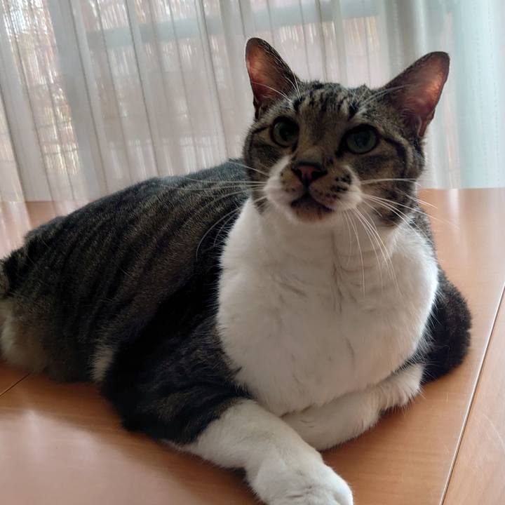 D2291796 139d 4140 b43d b9b2c1e7807b 1694739013772