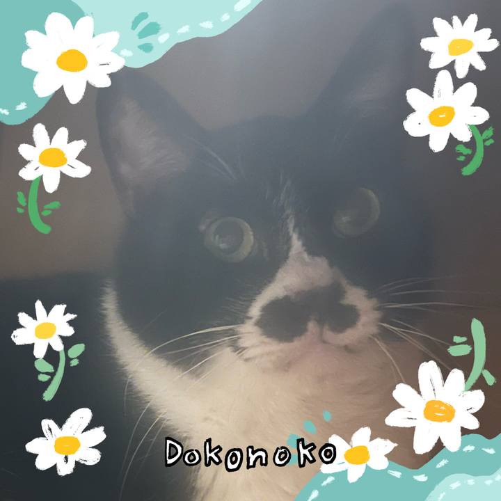 D22940d4 7de7 43ce 86da 87fa42154d02 1712320879029