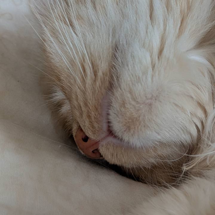 D22959c0 7104 45b6 9e83 afae1c1ae874 1746752019034