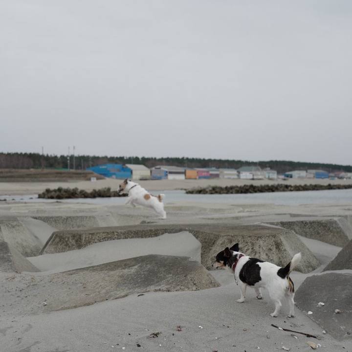 D2295bc9 7150 494e bd1b 3dc4fbaa2f3d 1554625942741