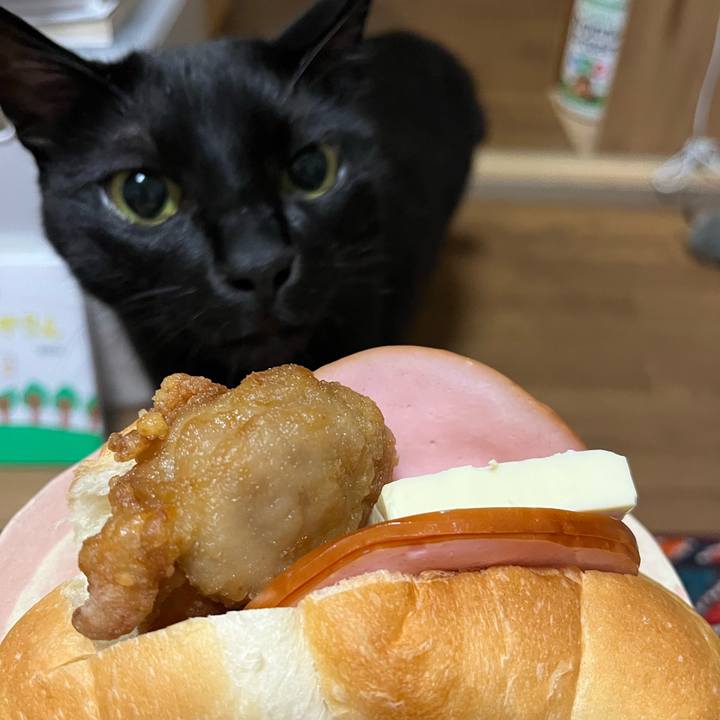 D2299e71 4709 439b 9c62 574ad7af164b 1688183985884