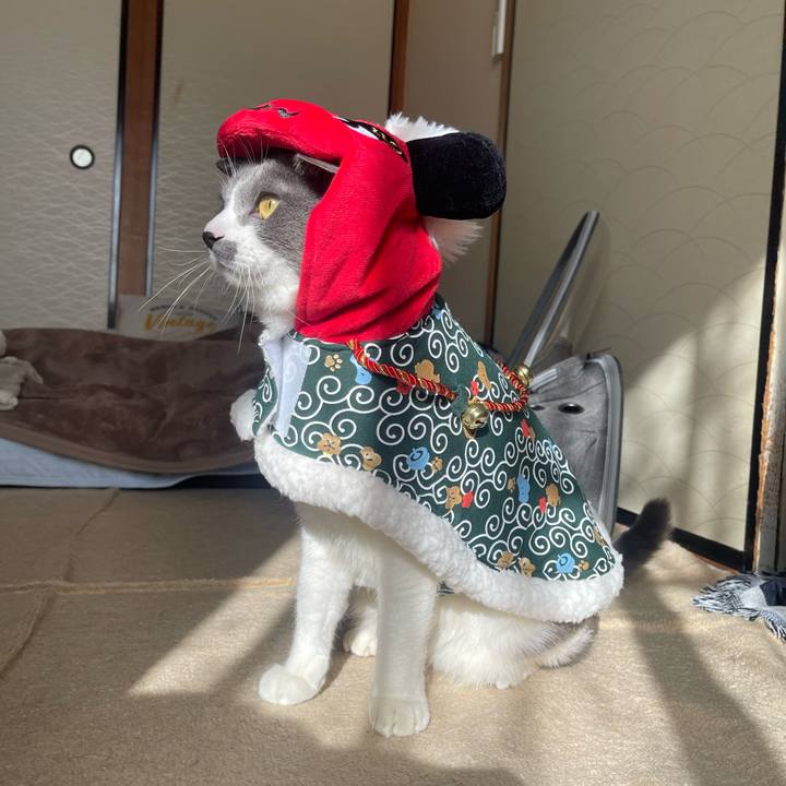 D229ac9a 3708 402c ba81 57c9e428f343 1704081783160