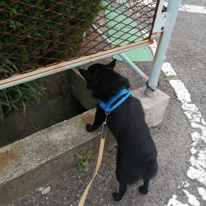 D229e4c9 b6d6 4084 98c3 67c75575bc5e 1626036875168