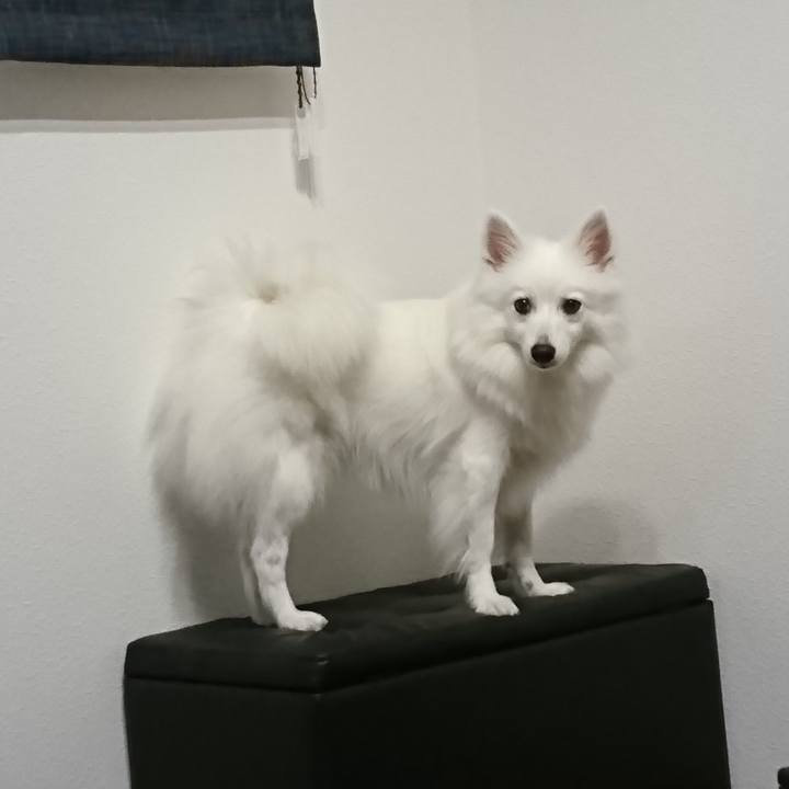 D22a21c6 dd6d 48b2 880e dff4822aa1e6 1536846811256