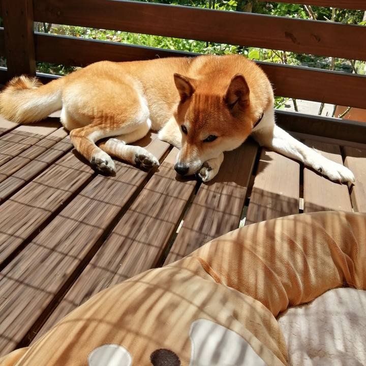 D22a4c2c 7dbc 4606 b9e4 9d09ed991ad3 1656645524475