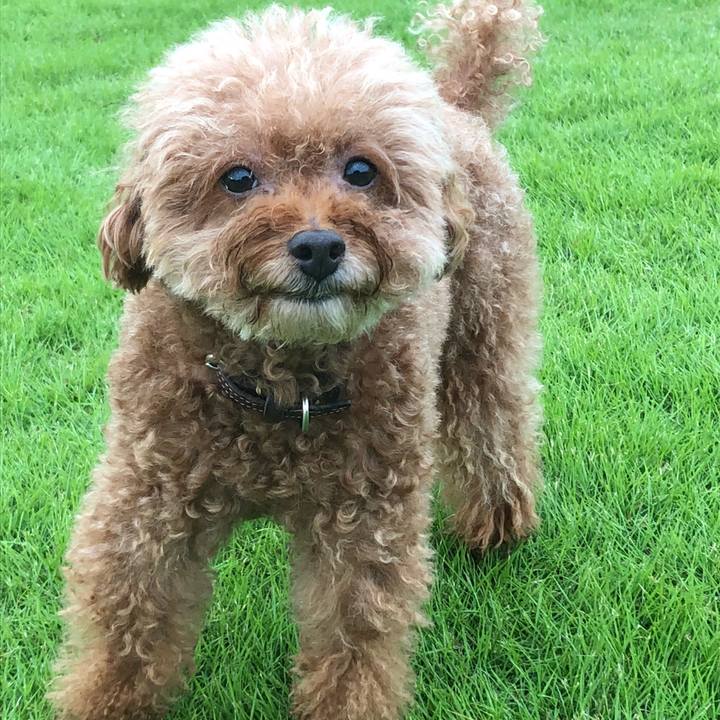 D22a5cf6 a62b 4a3e afec 4a9164a55407 1549431634343